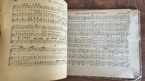 The Song Indicator H.S. Perkins Antique School Music Book Hymns White Smith 1885 - Bild 13 von 15