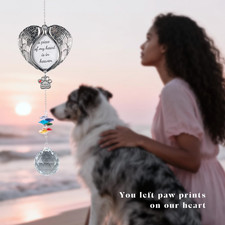 Pet Memorial Suncatcher Dog Memorial Gift Personalized Photo Pet Loss Pet Unique
