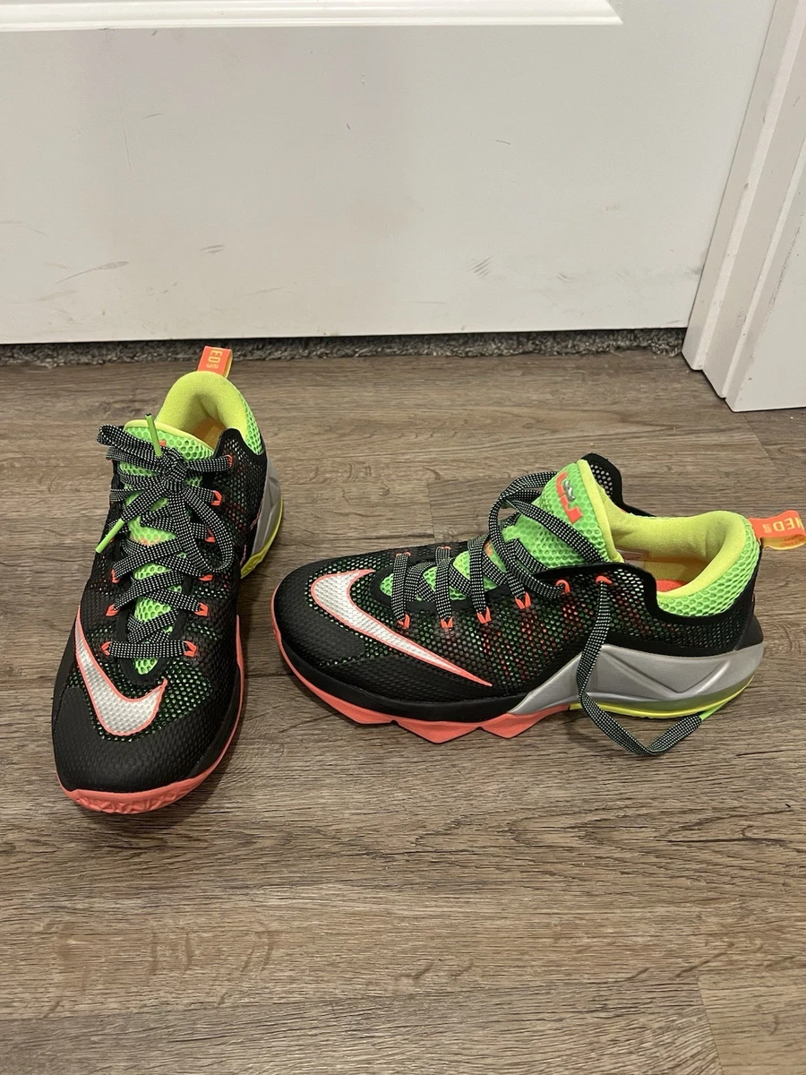 Nike LeBron XII Low Sneakers for Men for Sale | Authenticity