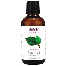 Tea Tree (100% Pure), 2 oz - NOW Foods Essential Oils