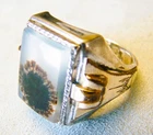 Vintage Art Deco Dendritic Montana Agate Sterling Silver Gold Filled Ring sz 8.5