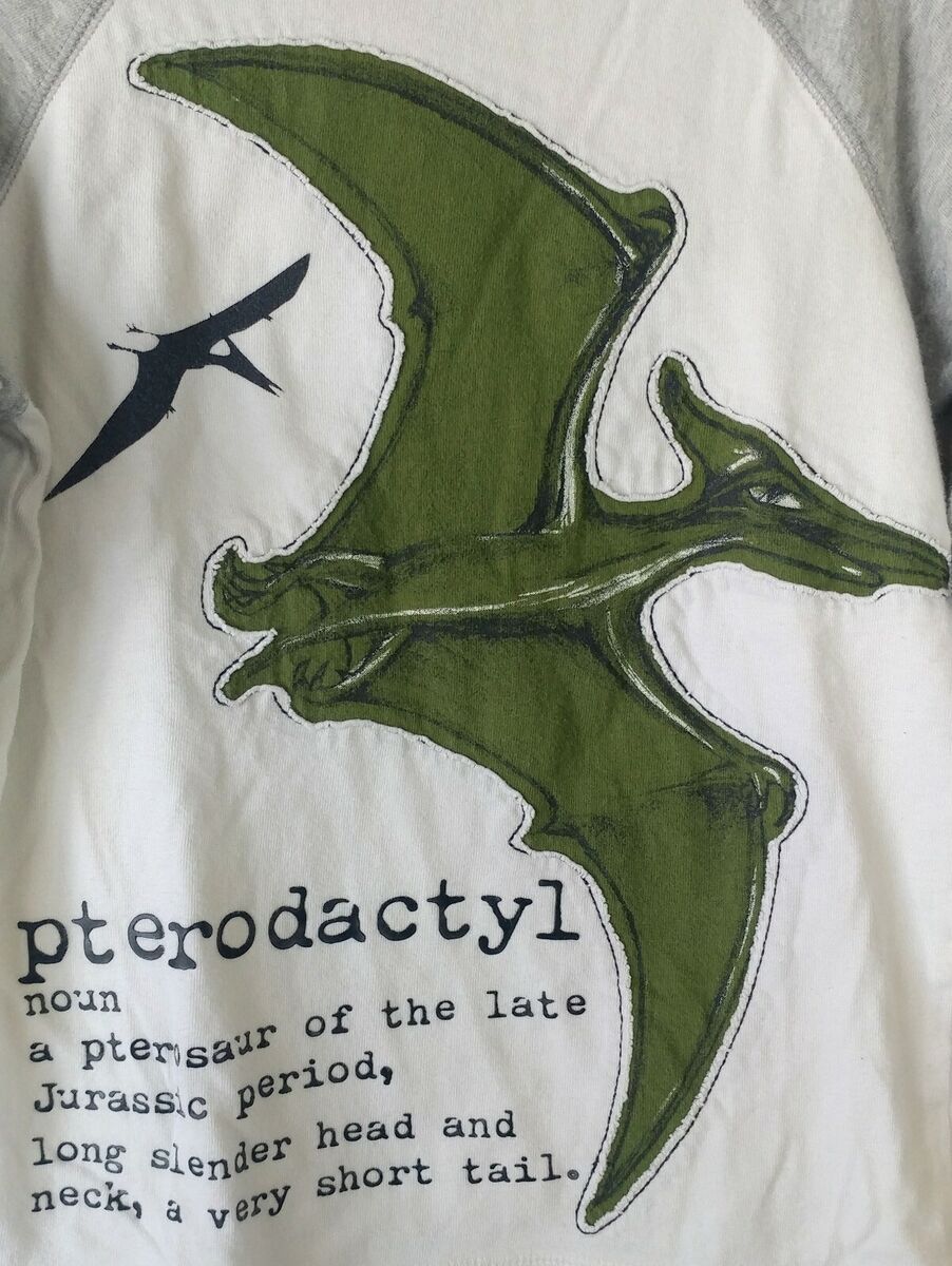 Crazy 8 Boy's Pterodactyl Dinosaur Shirt Size XS 4 