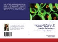 Morphometric Analysis Of Nuclear Changes In The Invasive Tumor Front Sunitha Dan