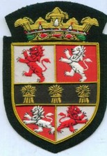 Celtic Irish Murphy Murphey Scottish Scots Family Clan Name Reunion Erin Patch