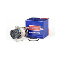 VW NEW Beetle 9C1 1C1 1998-2012 Wasserpumpe BWP2361 Borg & Beck