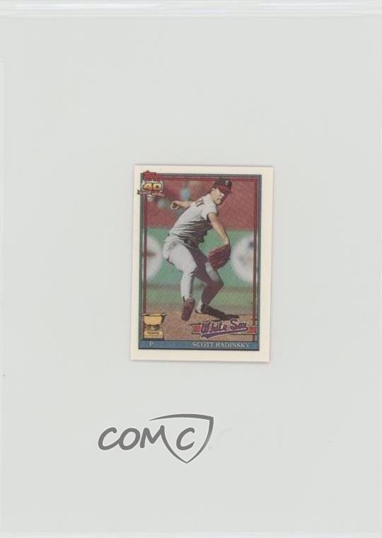 1991 Topps Micro Scott Radinsky #299 fm0