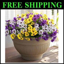 UV Resistant Artificial Pansy Flowers 36ct