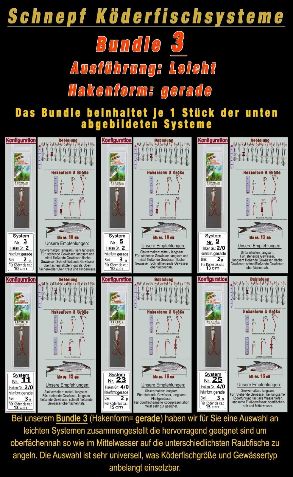 Bild 2 von 11