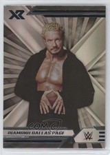 2022 Panini Chronicles WWE Xr Diamond Dallas Page #282 HOF 19kz