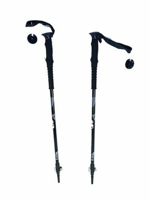 ski poles 40