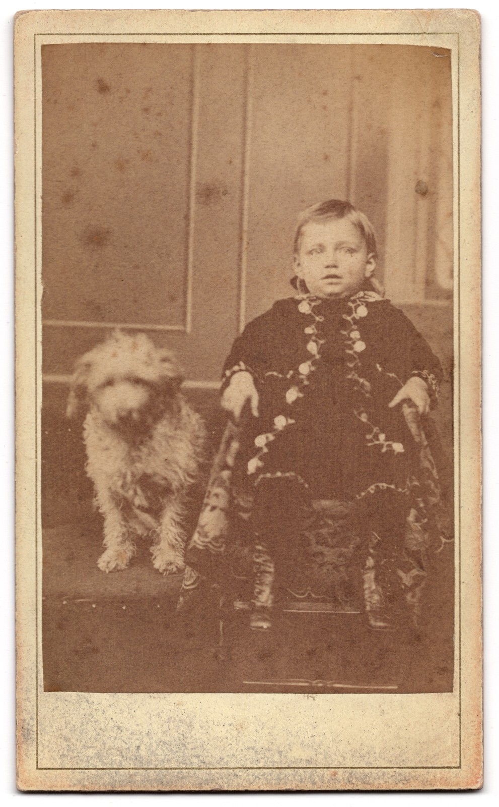 ANTIQUE CDV CIRCA 1870s CHAS. PEALS CUTE CHILD WITH THEIR DOG MOLINE ILLINOIS