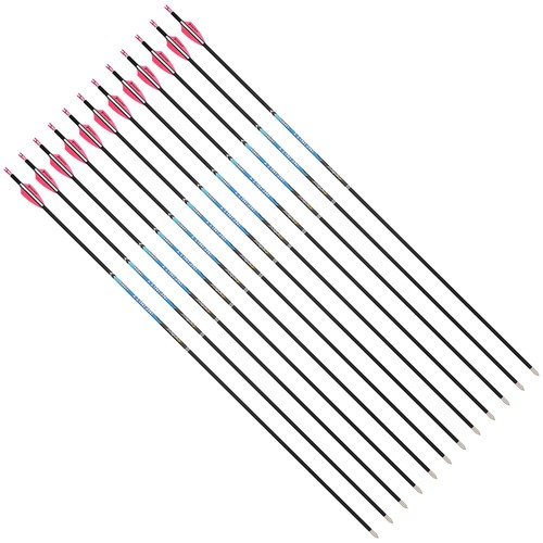 12x Flechas de carbono puro PANDARUS SP300-1500 ID4,2 mm arco de tiro con arco objetivo deportivo - Imagen 16 de 32