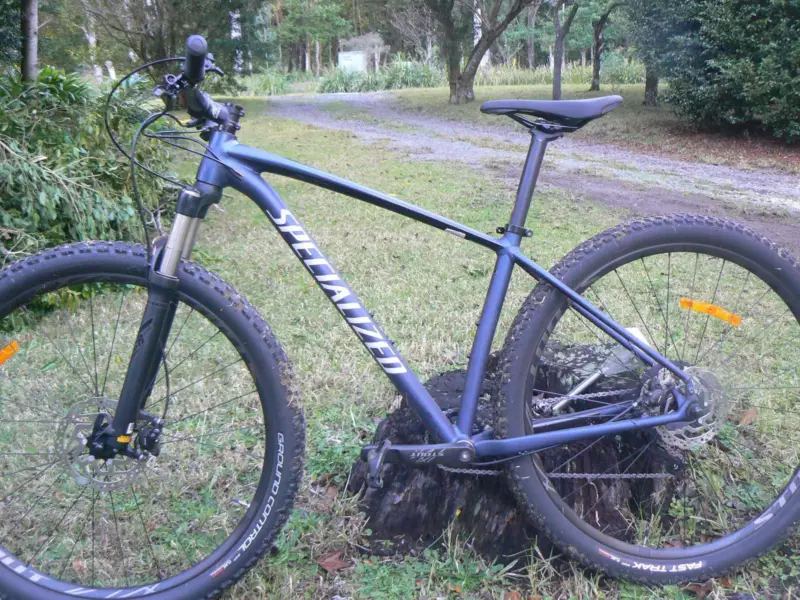 rockhopper expert 29 2020