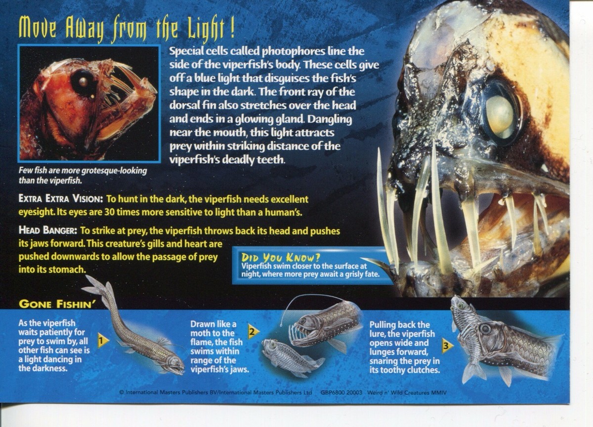 Weird N' Wild Creatures Monsters of the Deep Card 7 # Viperfish # LC4 |  eBay UK