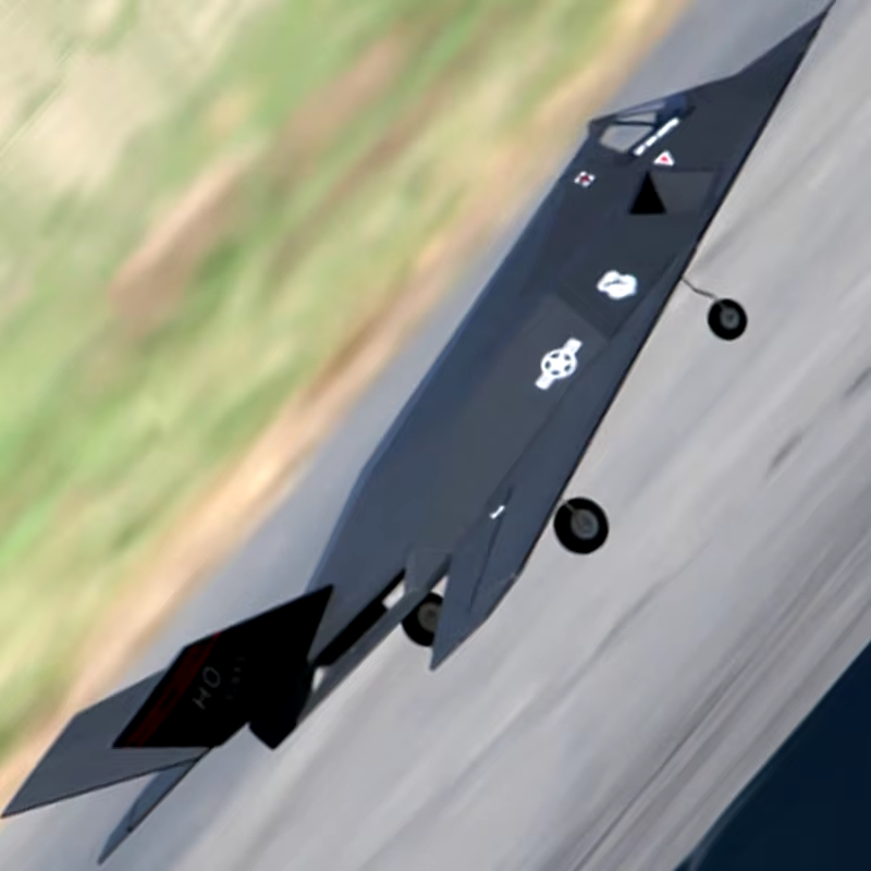 Lanxiang/Lx/Sky Flight Hobby F117 64Mm Nighthawk RTF RC