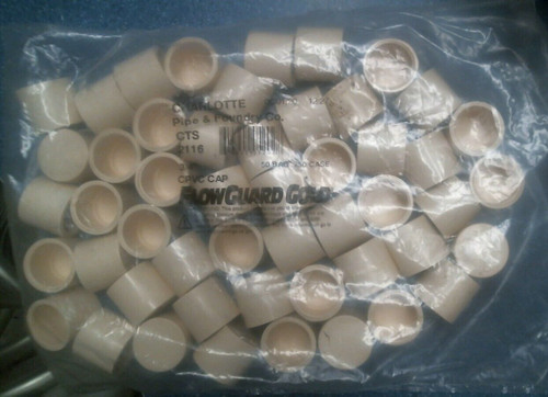 Charlotte 3/4" CPVC Caps Bag of 50  (05202) FS