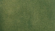 Woodland Scenics Green Grass ReadyGrass Vinyl...