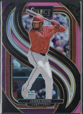 2025 panini select james woods pink and putle prizm premier Level
