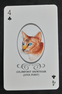 Cat Lovers Playing Card Red Back Colorpoint Shorthair 4 Clubs