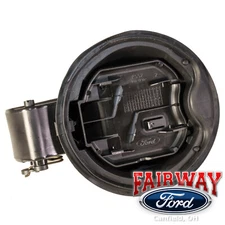 15 thru 20 F-150 Fuel Gas Filler Door Housing Pocket with Hinge FL3Z-9927936-A