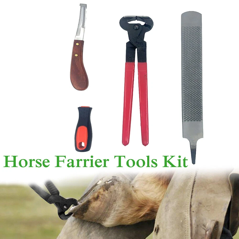 Aggregate 168+ horse nail cutter songngunhatanh.edu.vn