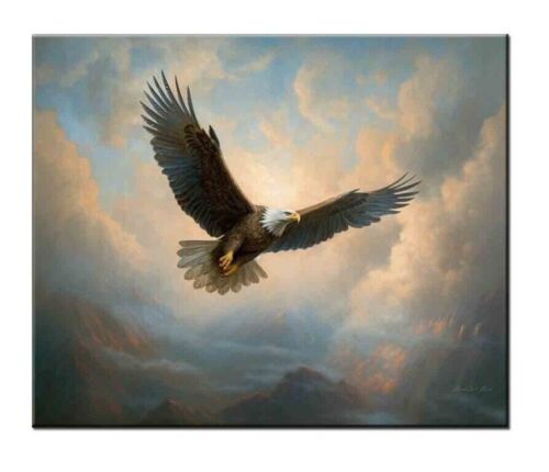 Majestic Bird In Flight Above The Clouds Oil painting pictures printed on canvas - Picture 1 of 10
