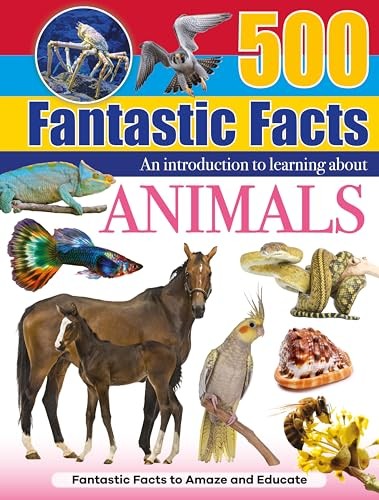 Animals (Hardback Book) - Image 5