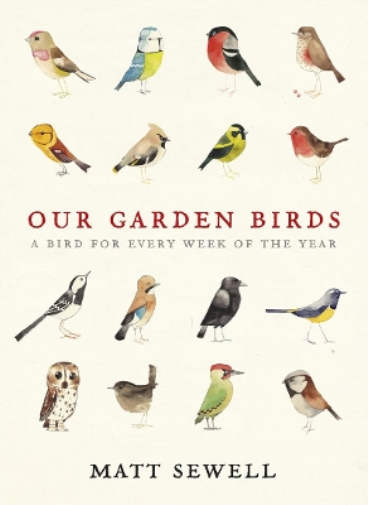 Matt Sewell Our Garden Birds (Copertina rigida)