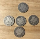 Lot Of 5 Morgan Silver Dollars (1)