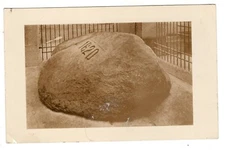 Real Photo Plymouth Rock Massachusetts Antique MA RPPC  Postcard