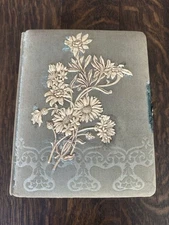 Antique Victorian Celluloid Cabinet Card Photo Album w/Raised Floral Designs
