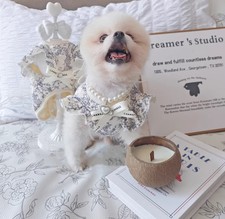 Classic Printed Design Warm Cute Cotton Winter/Autumn Lace Bow Pet Dress Leash F