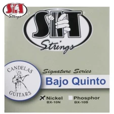 SIT BX-10N Nickel 10-String Bajo Quinto Loop End Guitar Strings