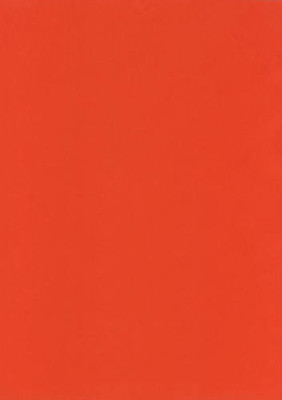 50 INTENSIVE ROTE FARBE 80 g/m² A4 KOPIERER TINTENSTRAHL LASER DRUCKER PAPIER FARBIG BASTELN