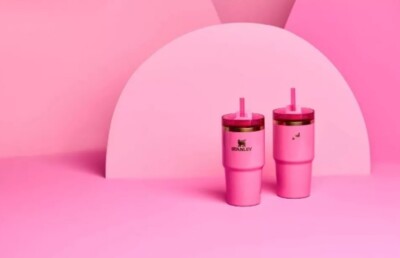 Stanley x Target GLINDA 20oz H2.0 FlowState Tumbler Wicked