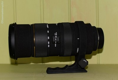Sigma 50-500mm f/4-6.3 EX DG HSM Objektiv für Nikon
