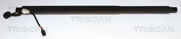 Heckklappen DäMpfer Gasfeder Kofferraum Triscan 8710 29332 FüR Skoda Superb 3-image