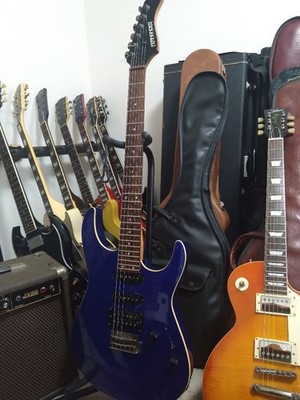 FERNANDES FR Series Electric Guitar 2004 5-Way Switch One Volume Tone