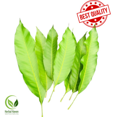 Dried Mango Leaf for Tea Herbal Organic Homemade From Sri Lanka Pure Natural
