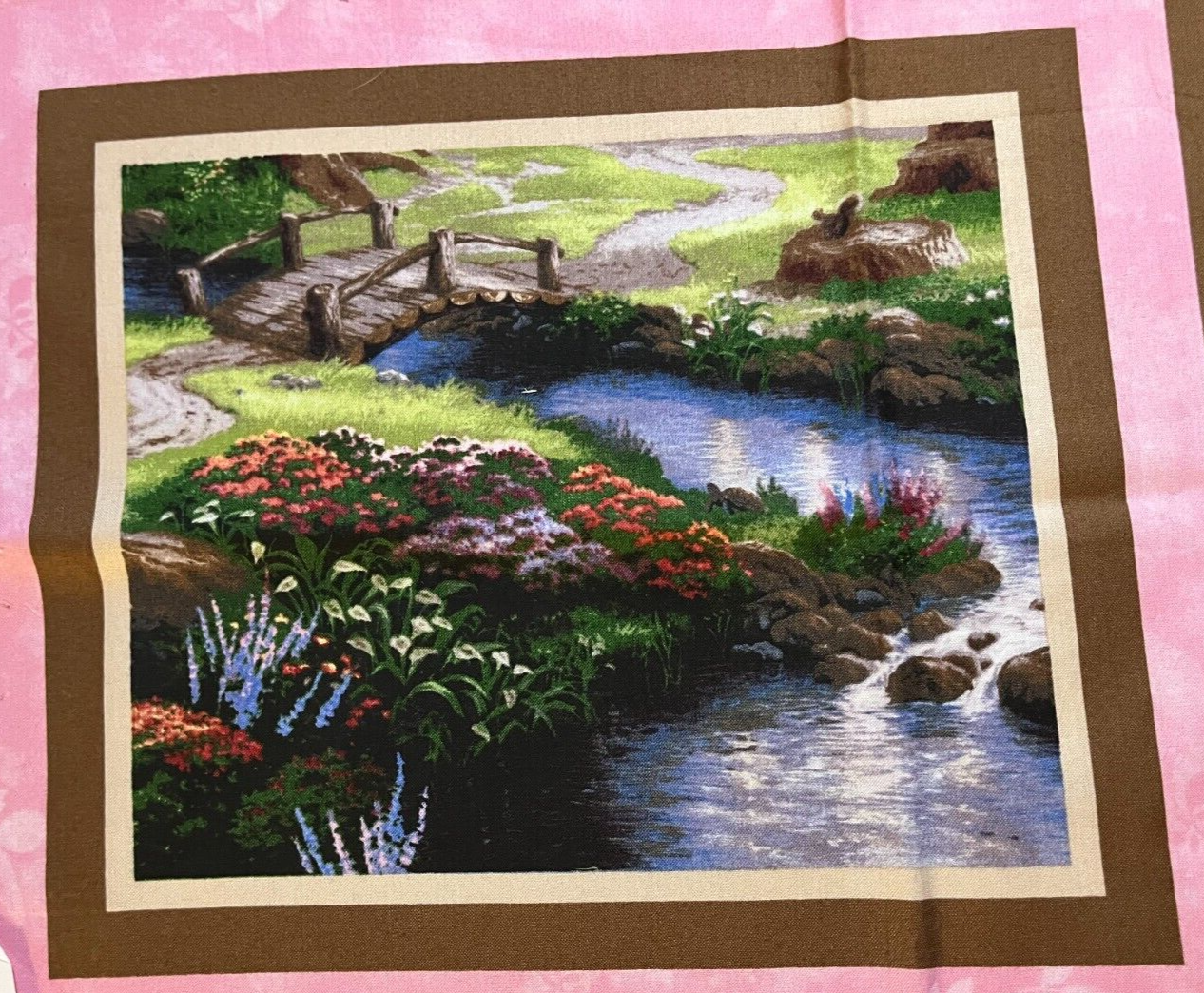 Picture 5 of 5