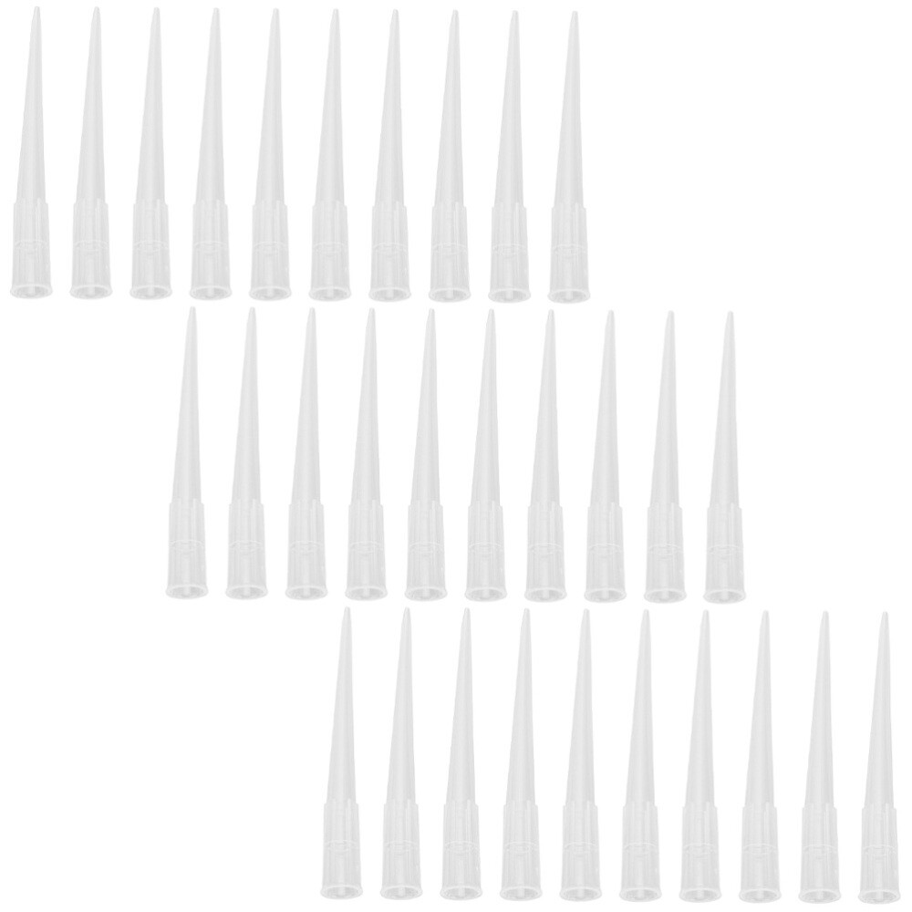 150 Pcs Preserved Flower Clay Inserts Plastic Stem Rose Water Tubes eBay