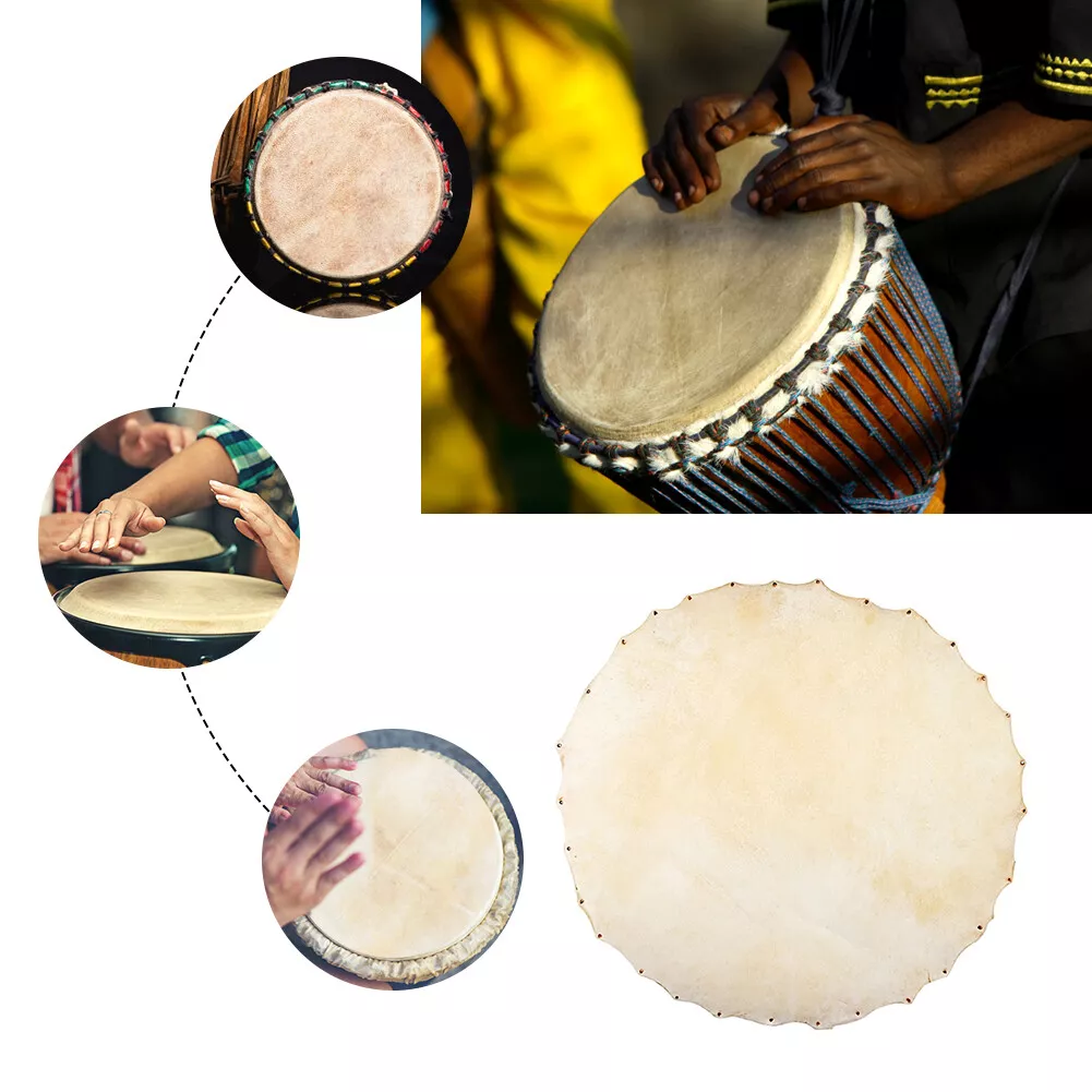 Goat skin drum heads deals