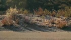 Video 1 of 1