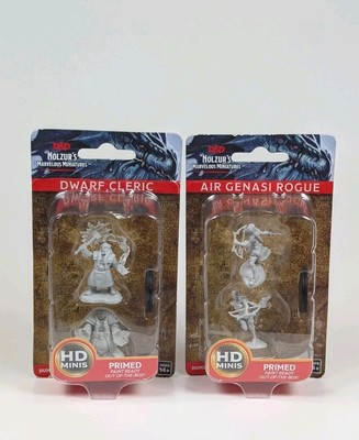 DD Nolzur's marvelous miniatures Air Genasi Rouge With Dwarf Cleric 
