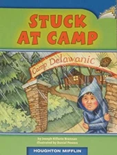 Stuck At Camp Realistic Fiction; Understanding Characters