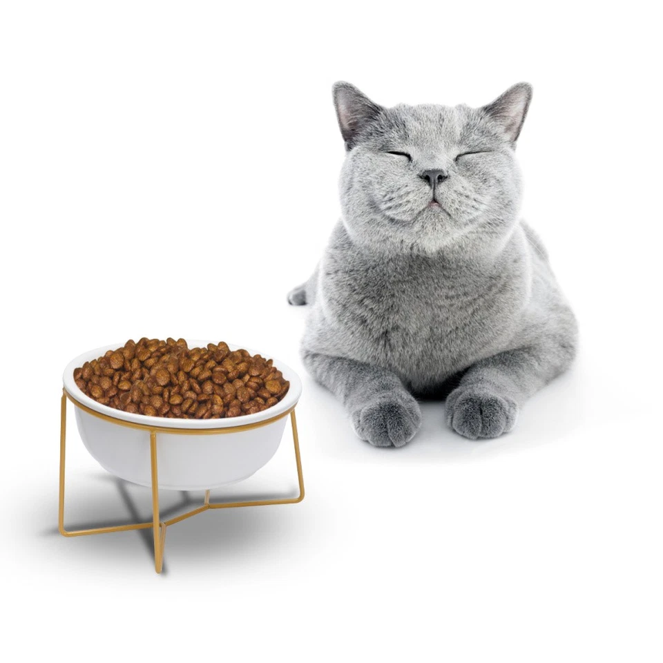  1 Stück Hohe Füße Haustier Fressnapf Creative Slant Tiernahrung Schale Keramik Haustier Essen