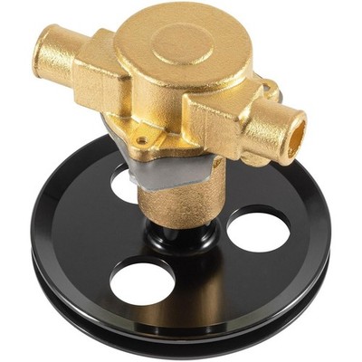 RA057007 Raw Water Sea Pump for PCM Ford 302 351 Sherwood G20 G21 1in