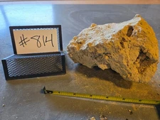 6" Medium Pumice Stone Floating Natural Rock Carnivorous Succulent Garden #814