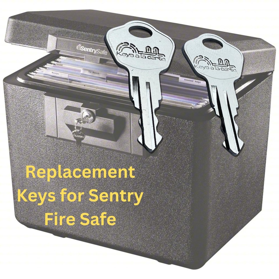 Pair of Replacement Keys for Sentry Safe Lock Boxes, Fire Chests, Fire ...