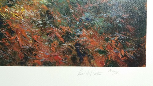 rex preston distant storm limited edition - Picture 2 of 4